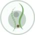 Osteopath und Heilpraktiker Andreas Lux Logo