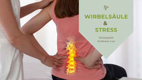 Wirbelsäule, Stress und Rückenschmerzen - Osteopath Andreas Lux