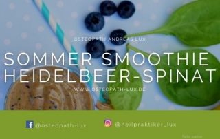 sommer smoothie rezept osteopath andreas lux